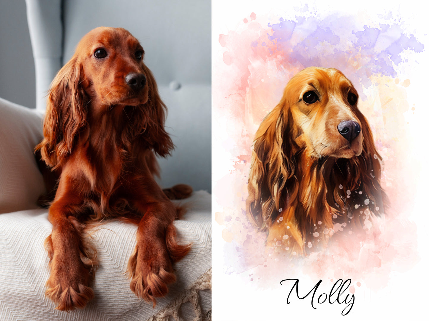 Custom Pet Portraits