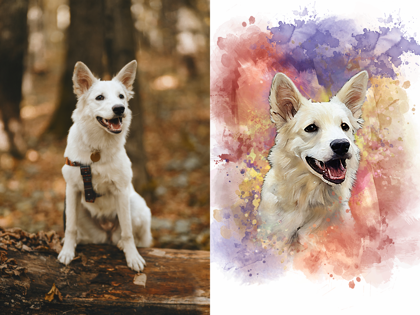 $1 Custom Portrait with Watermark