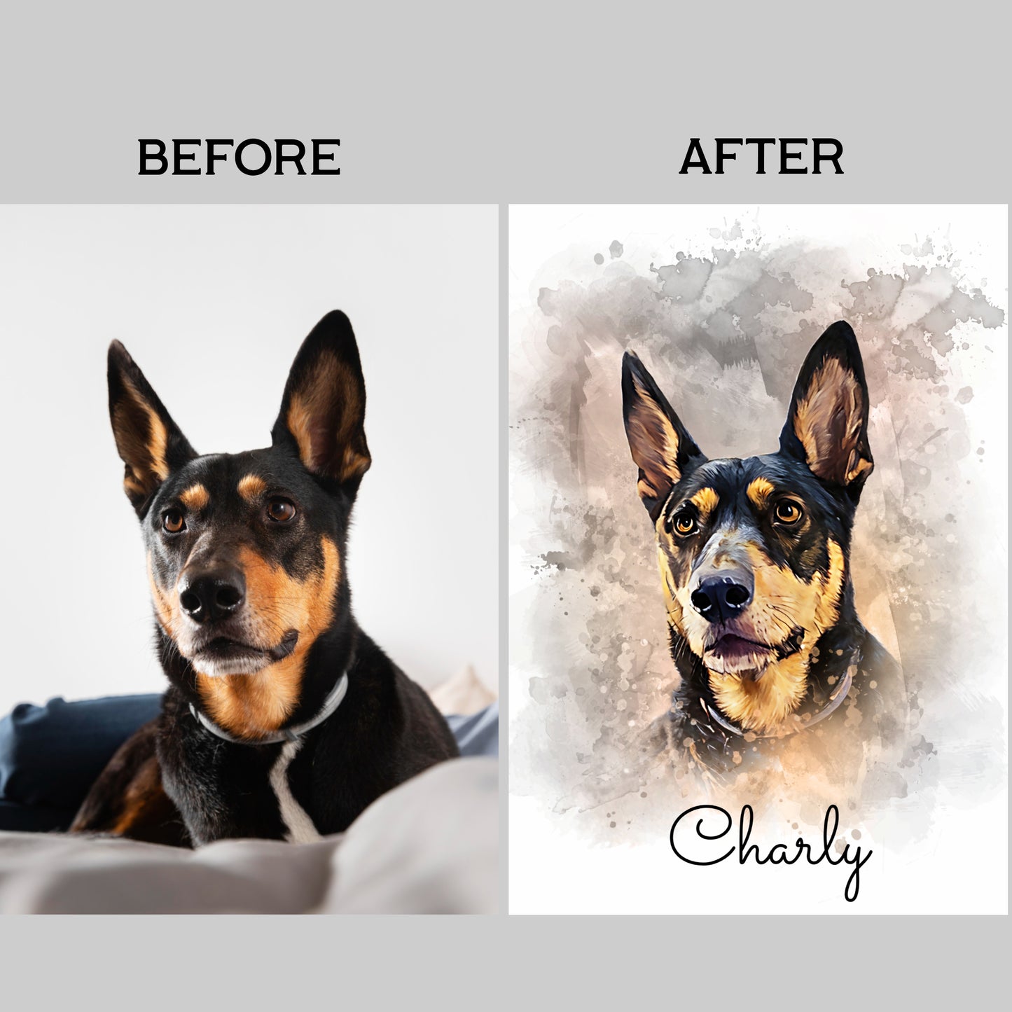 Personalized Pet Portraits