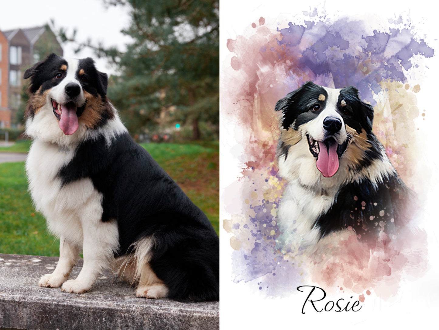 Custom Pet Portraits