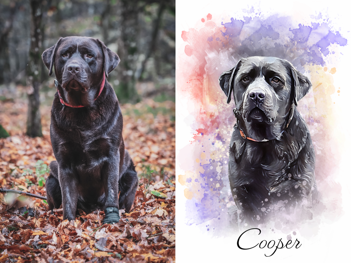 Custom Pet Portraits