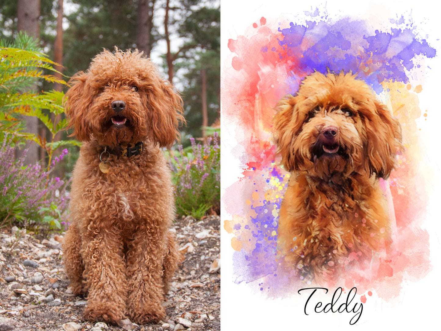 Custom Pet Portraits