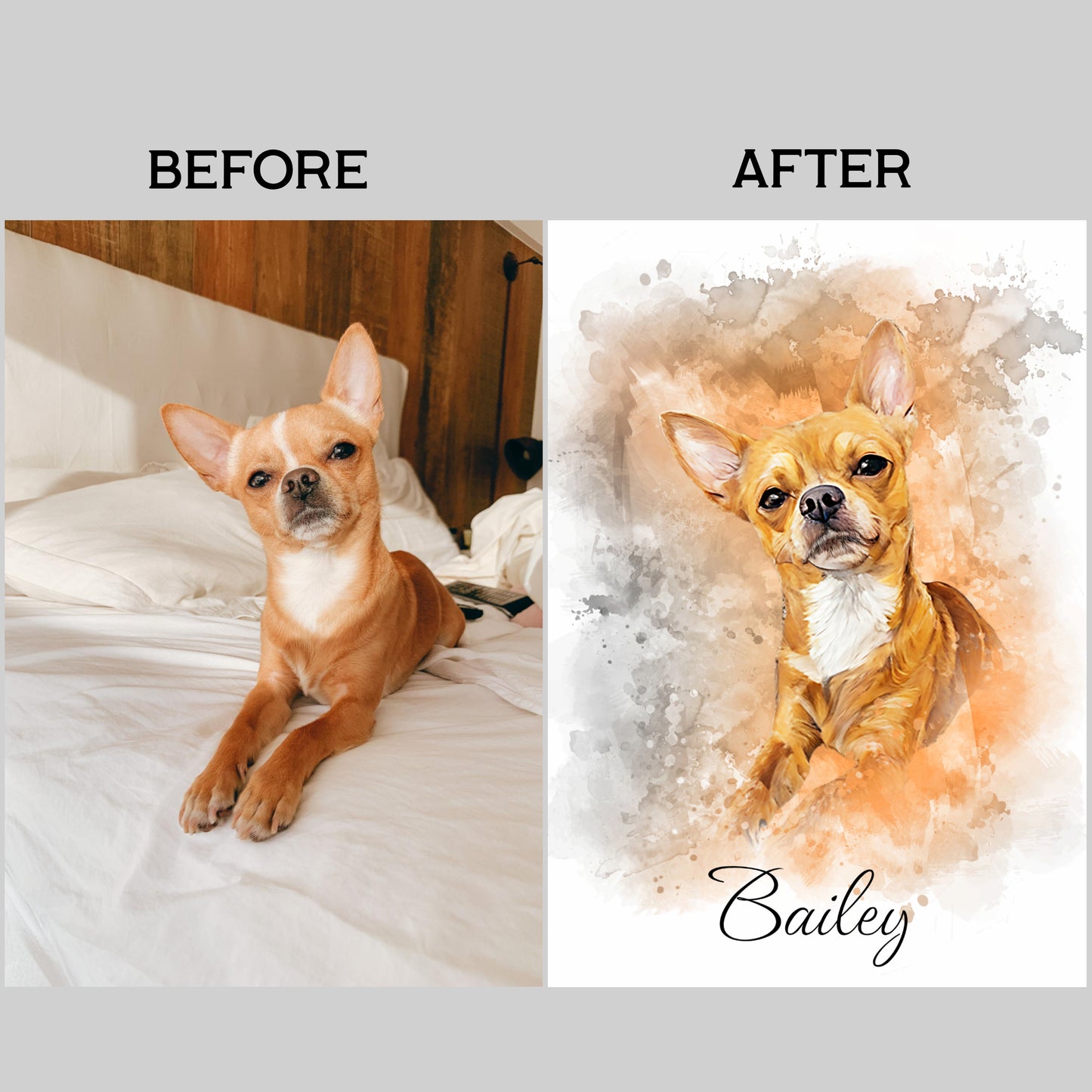 Personalized Pet Portraits